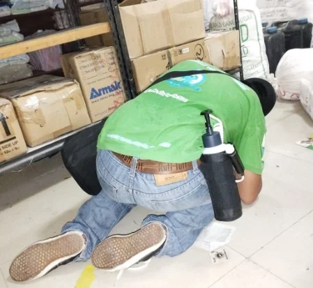 Inspection